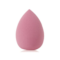 Wet & Dry Beauty Egg